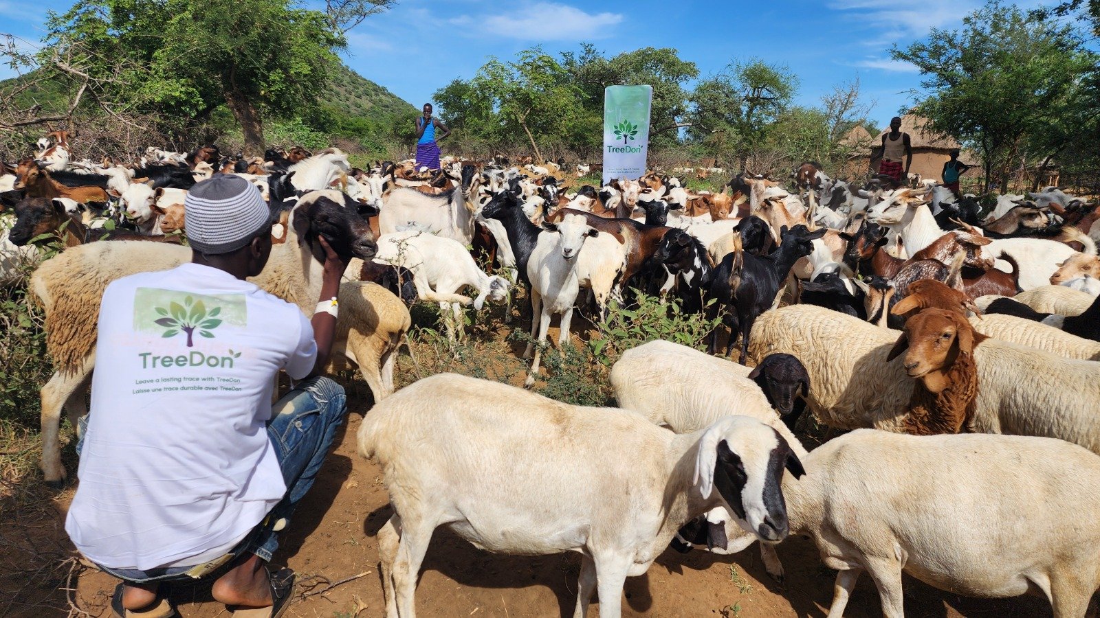 Sheep Sacrifice for Eid al-Adha 2027: Everything You Need to Know