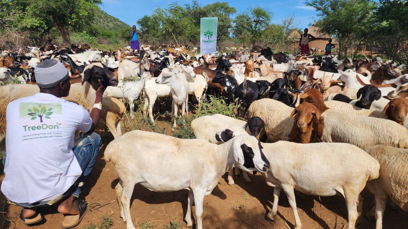 Sacrifices and distributions carried out by TreeDon, right next to the families.